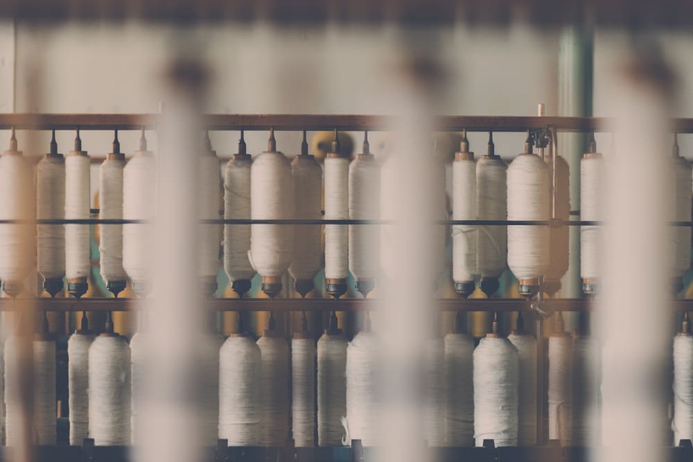 Cotton fibres being spun