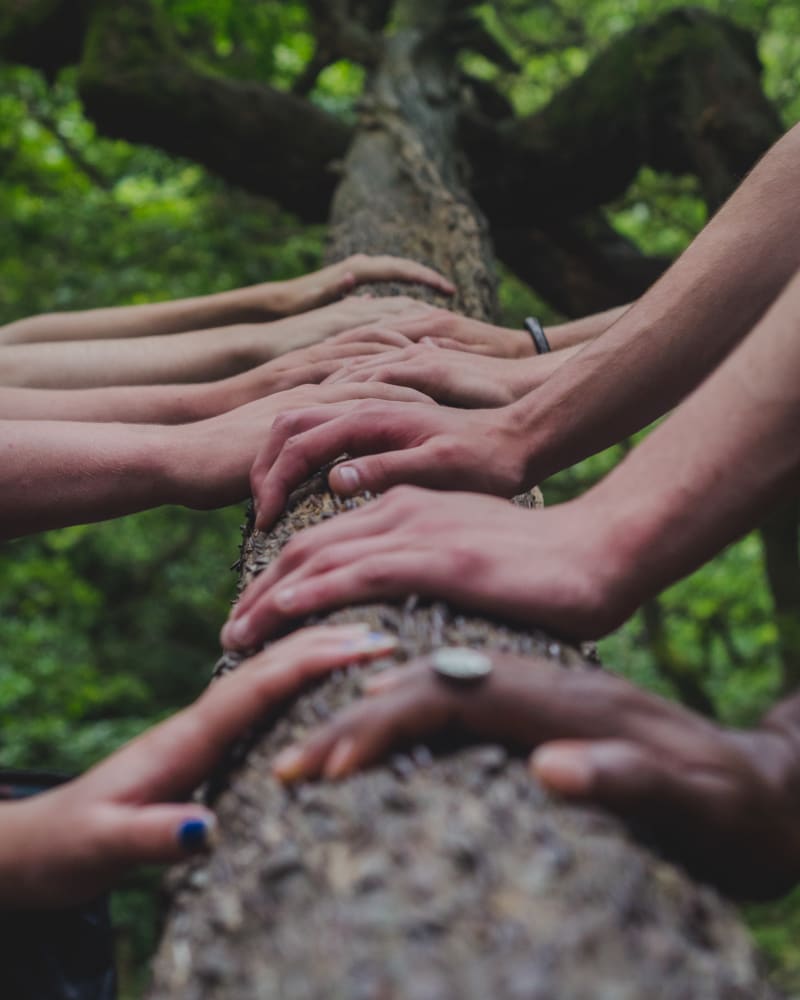 Our fashion choices currently fuel a multi-trillion dollar industry and together, these choices can help drive a more sustainable fashion future Many hands representing different ethnicities holding onto a tree trunk
