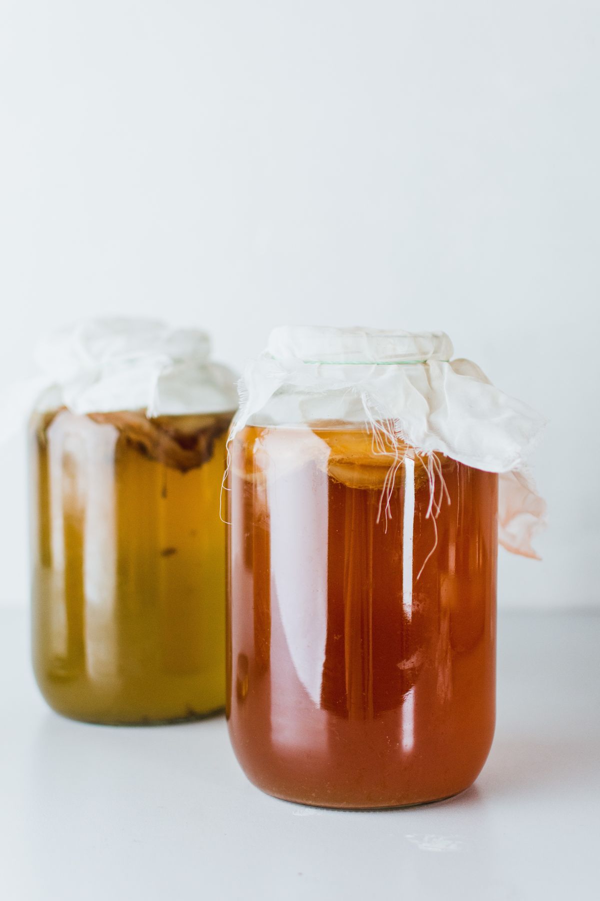 Kombucha recept