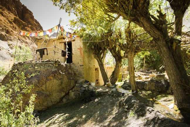 Their house.