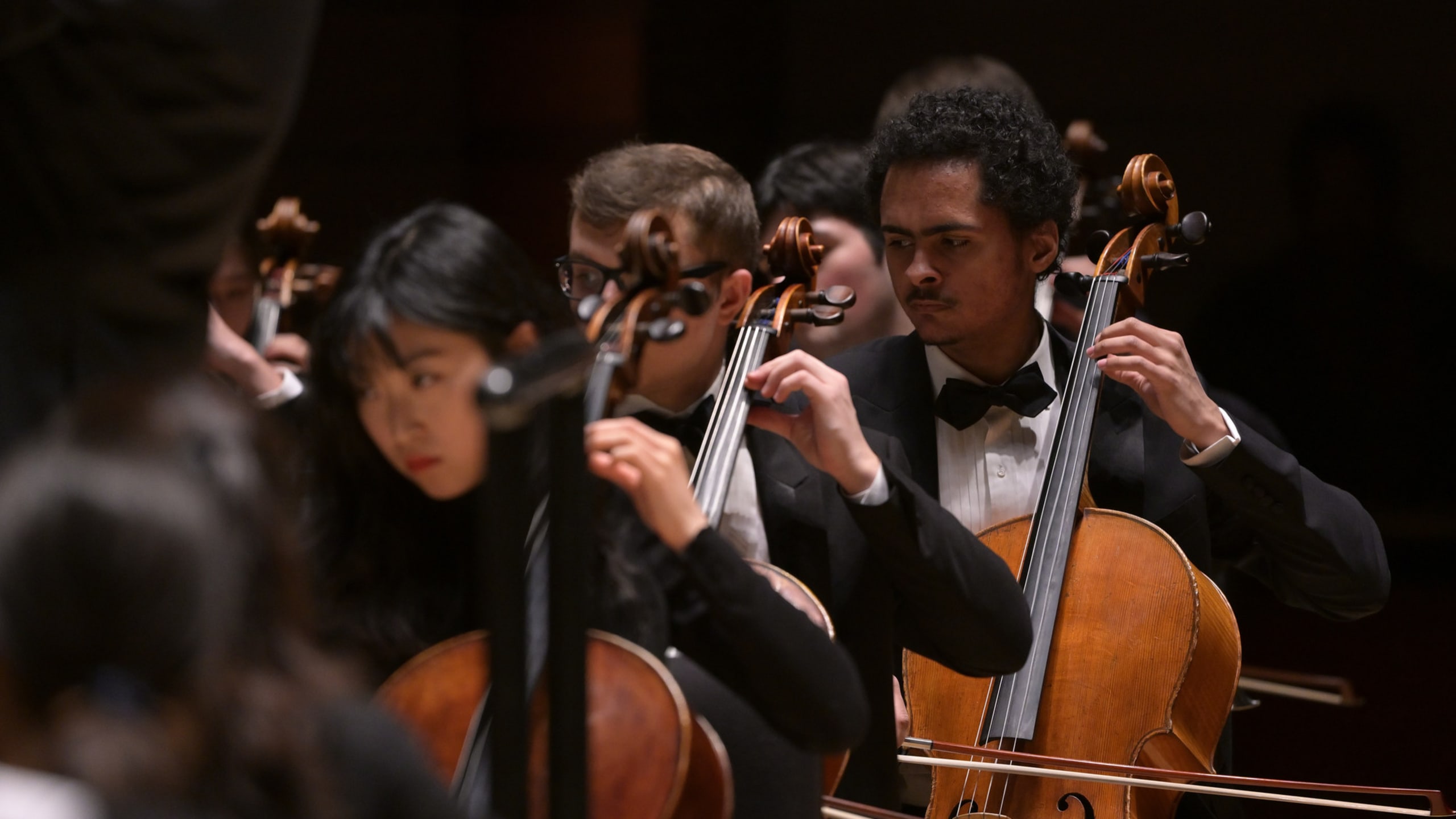 Orchestra Cello Section Performing