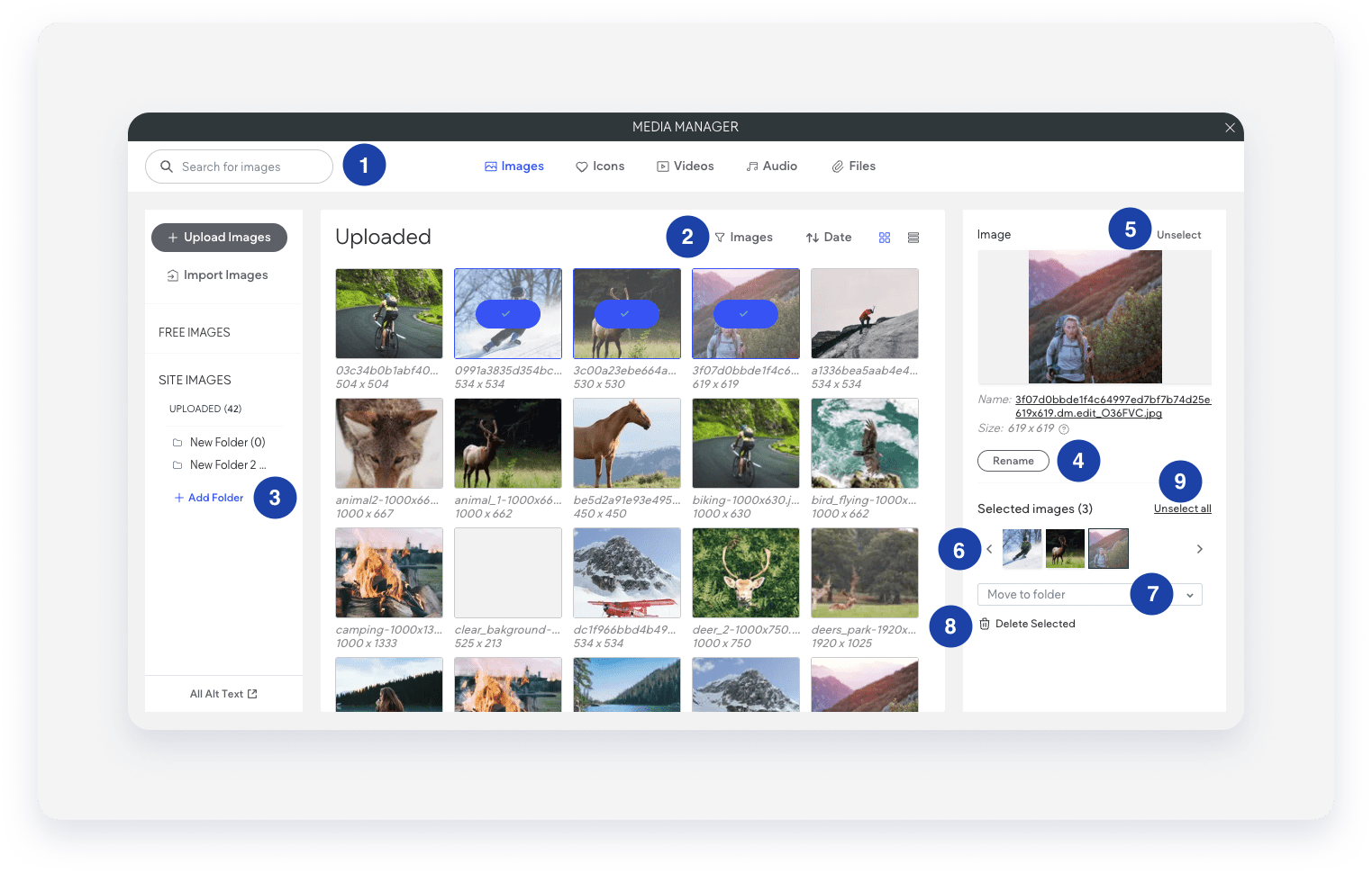 chooseandplaceimages9_en-US