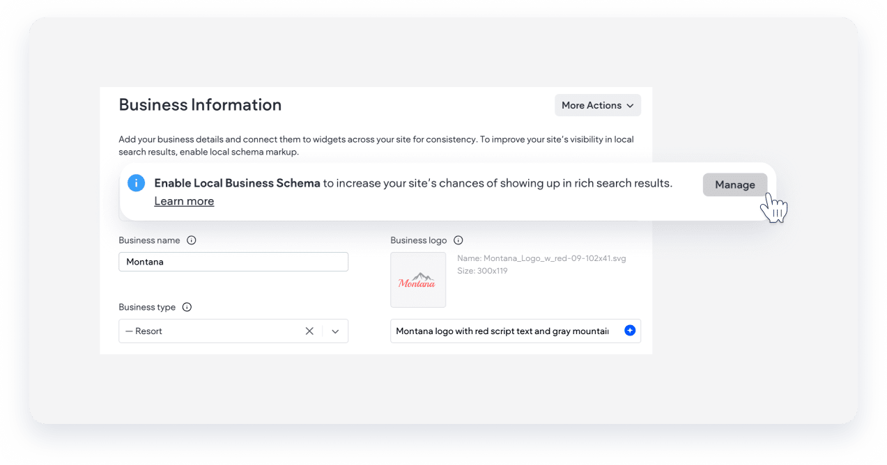 manage business schema
