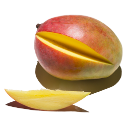 mangue