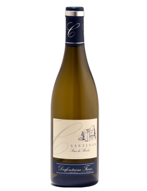 Château de Chamilly Santenay Sous la Roche 2023