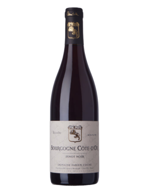 Fabien Coche Pinot Noir Côte d'Or 2024