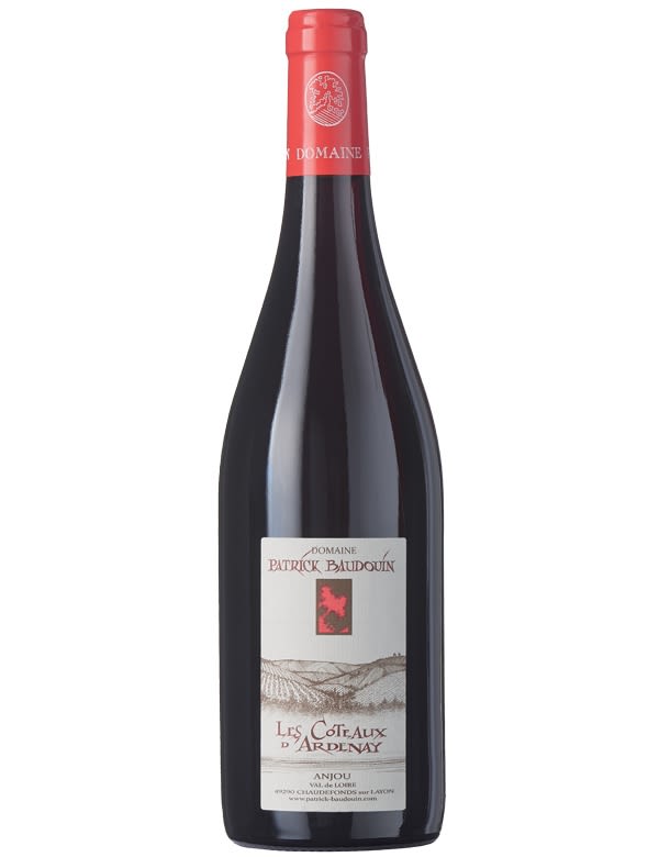 Domaine Patrick Baudouin Coteaux d'Ardenay 2014