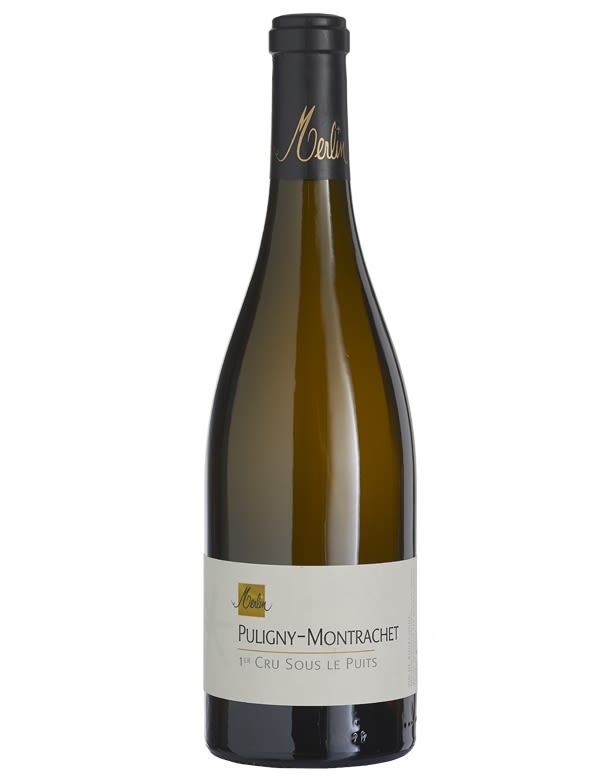 Domaine Merlin Sous le Puits 2011