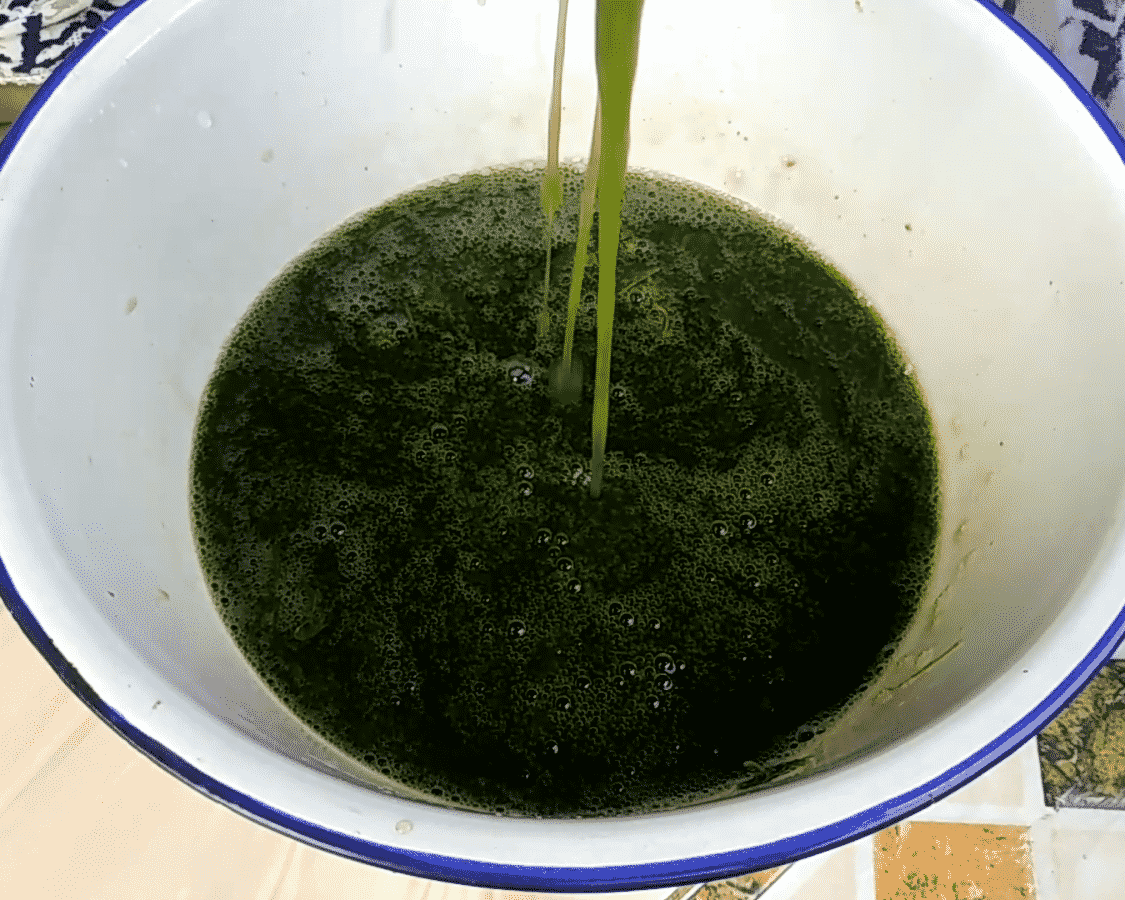 Daluman cincau hijau mulai mengental