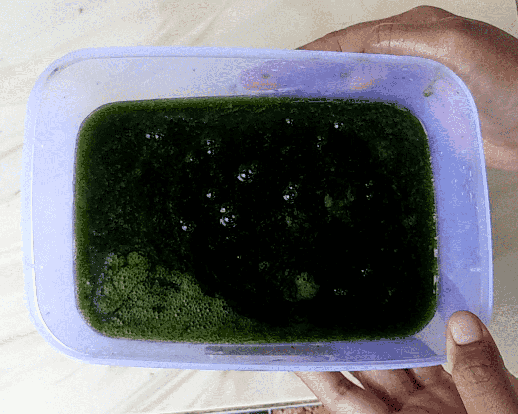 Diamkan daluman selama beberapa menit sampai mengental