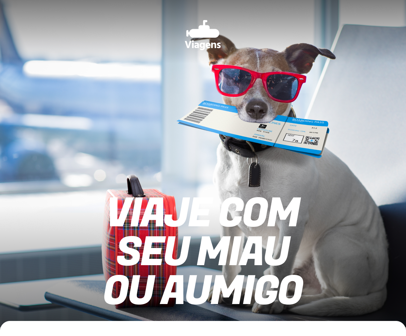 Viaje com seu miau ou aumigo