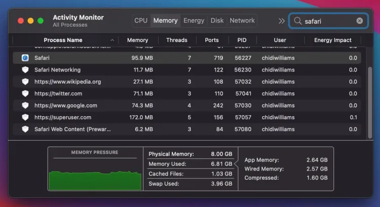 Screenshot of Activity Monitor on Mac showing Safari running on multiple processes