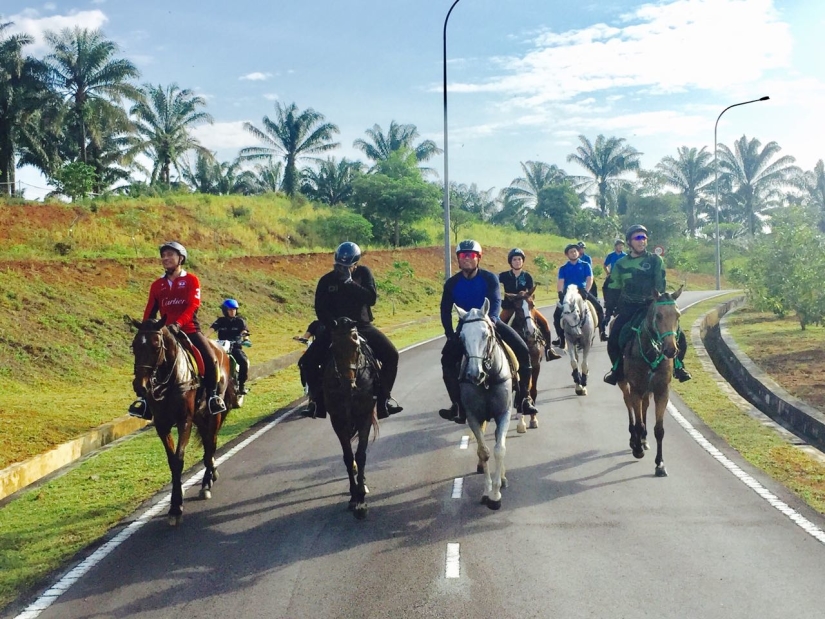 UTM Equine Park offers the joy of riding lessons, horse riding, horse camp, outdoor photoshoot, team building.