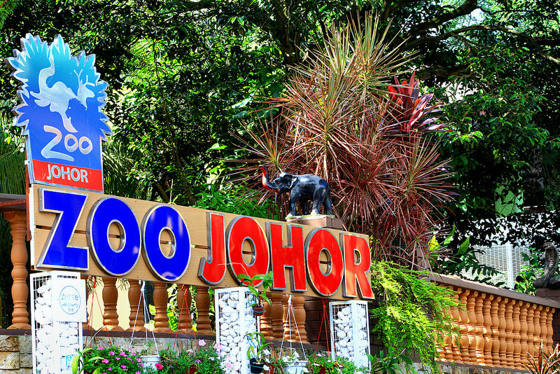 Zoo Johor is located at Jalan Gertak Merah. It is at the heart of Johor Bahru. It is situated near to the Royal Museum and the Johor Bahru Palace Grouds.