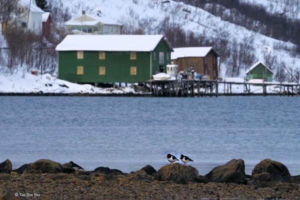 Tromsø, Norway