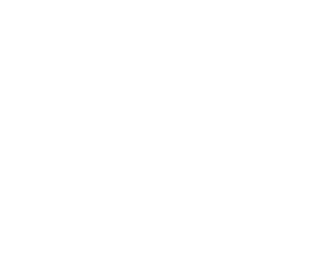 VFS Jewels