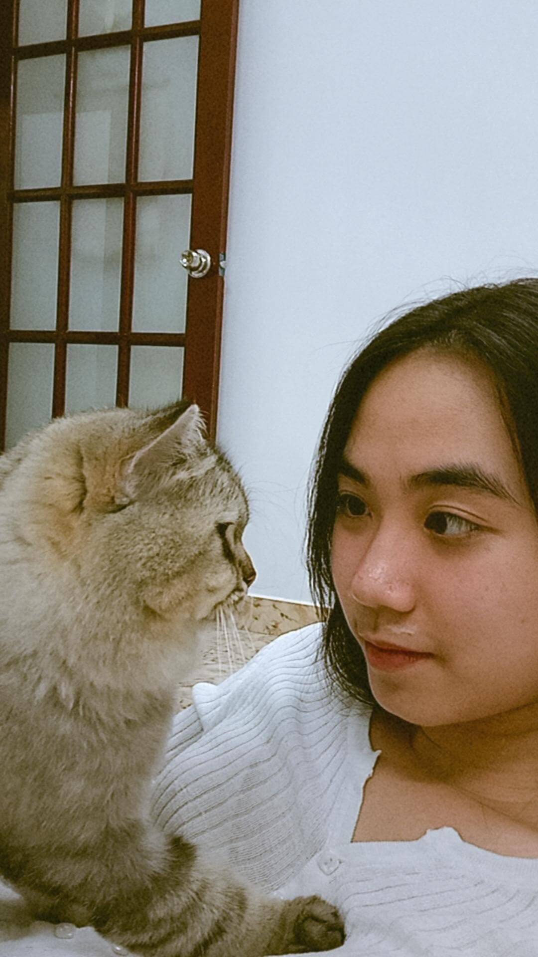 Pet