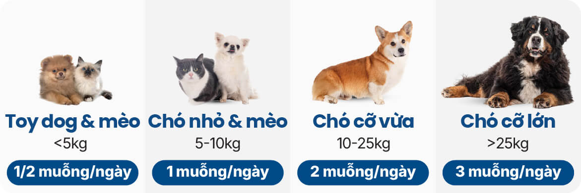 Liều dùng Bột ProDen PlaqueOff®