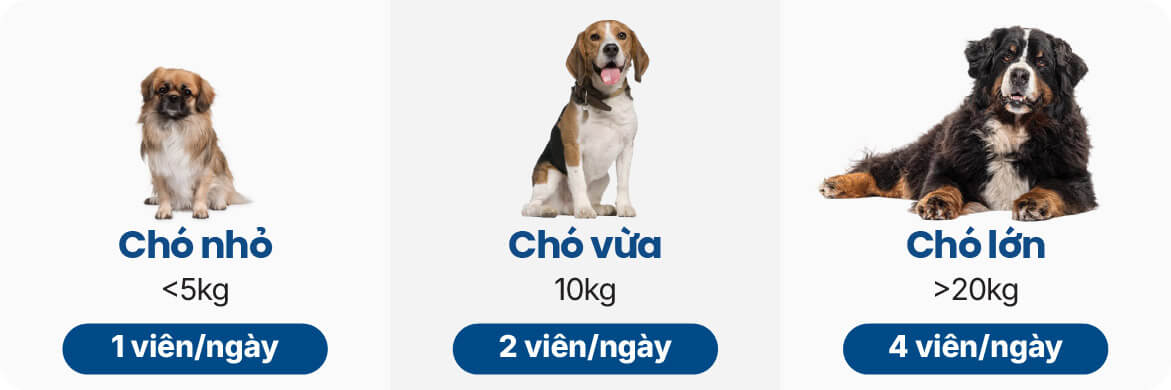 Liều dùng Viên bổ sung men vi sinh