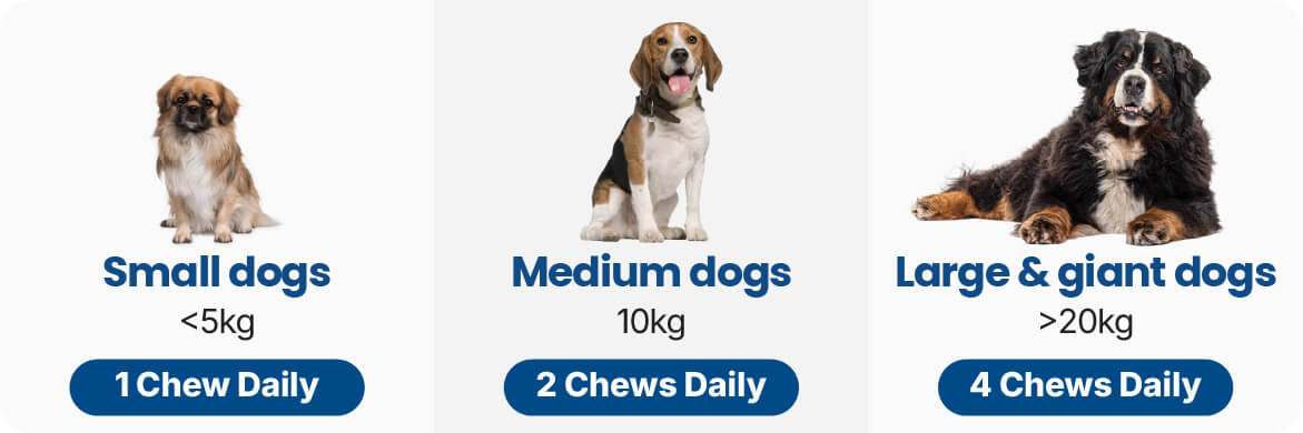 Dosage for Pet Probiotic Chews Supplements