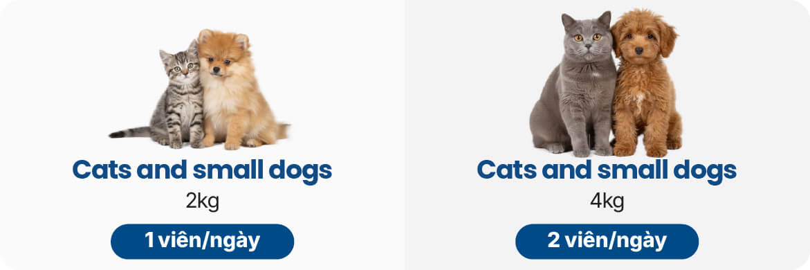 Dosage for Pet Urinary Chews Supplements
