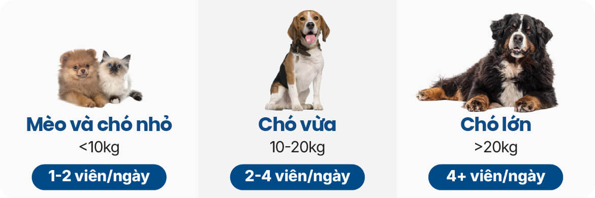 Liều dùng Viên hỗ trợ giảm ngứa