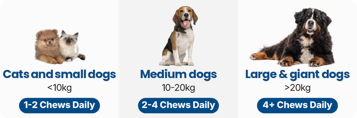 Dosage for Pet Itch Relief Chews Supplements