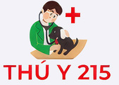 Partner 43