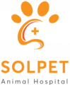 Partner 3