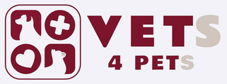 Partner 30