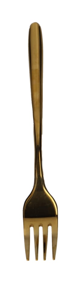 Stainless Steel Dinner Fork 21.2cm  - default