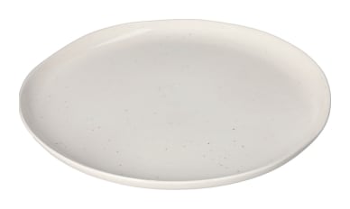 Speckled Dinner Plate 25.1cm