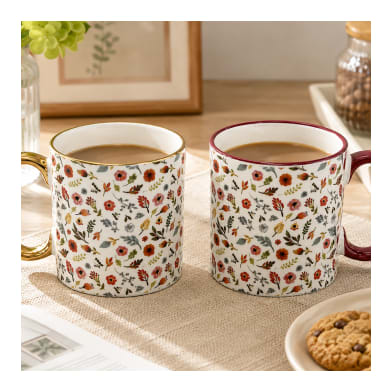 Porcelain Coffee Mug Set 2pcs 450ml