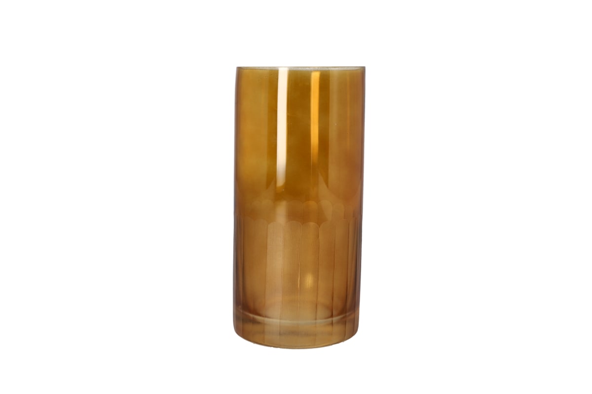Glass Plant Vase 20.8cm - default