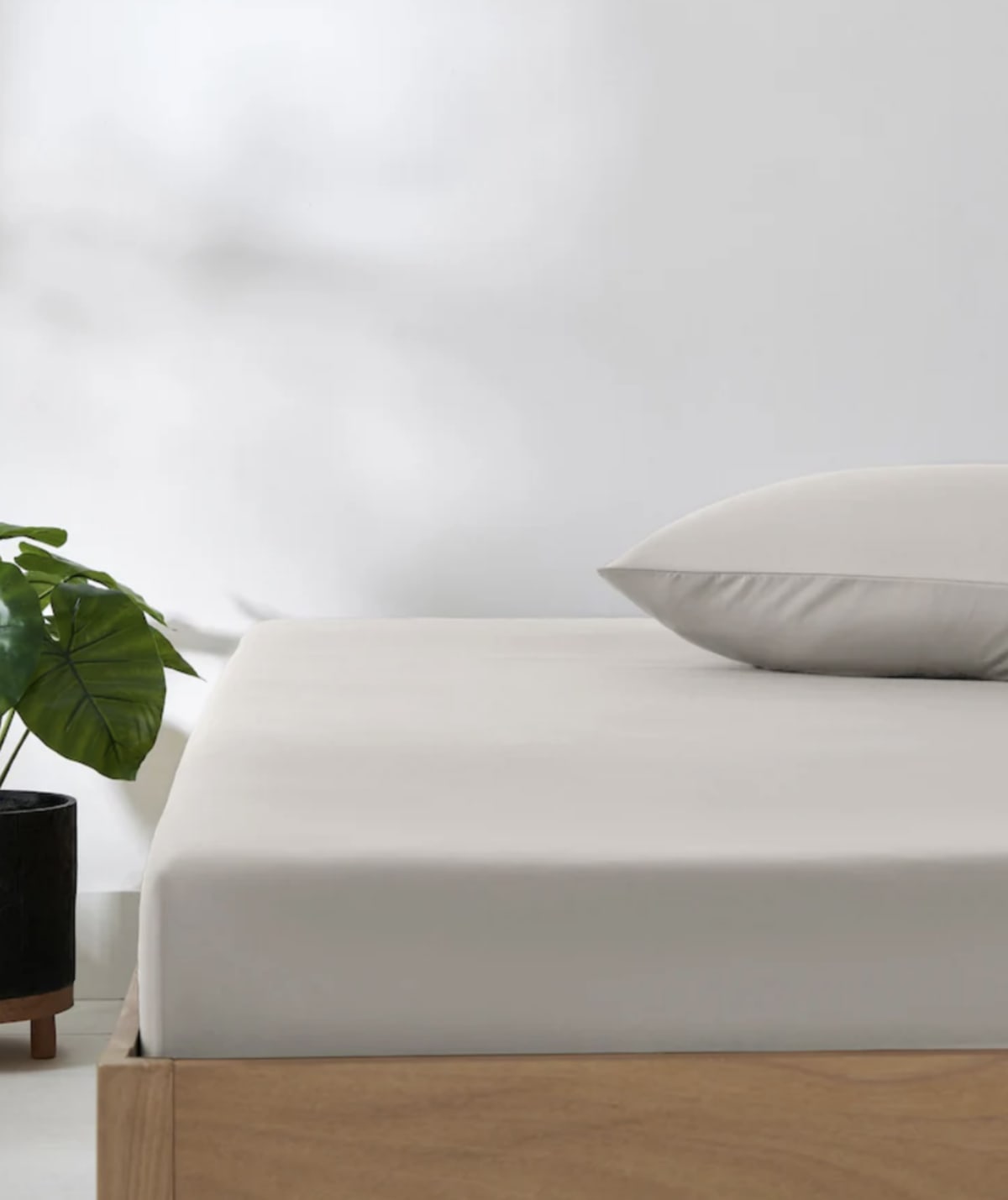 Polyester Single Bed ﻿Sheet Cover 198cm - default