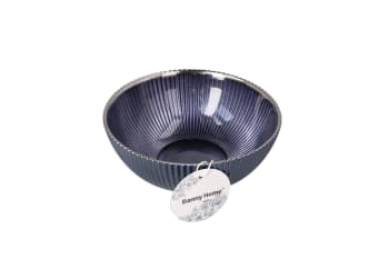 Blue &amp; Silver Rimmed Bowl 17cm - default