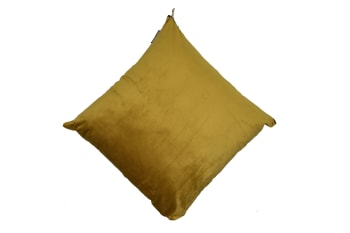 Velvet Scatter Cushion 47cm