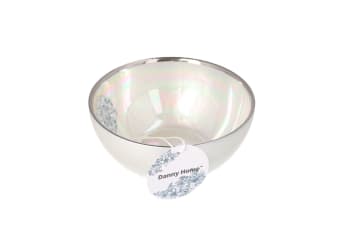 Silver Rim Cereal Bowl 15cm