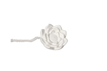Wild Fig Reed Diffuser 200ml - default