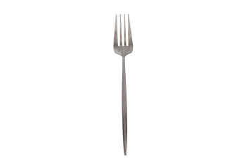 Silver Fork 6Pcs 21.4cm