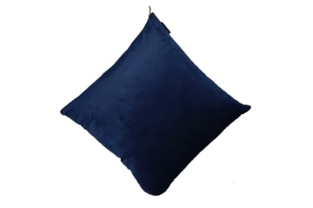 Velvet Scatter Cushion 47cm