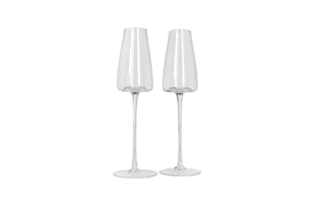 Champagne Flute Glasses Set 2pcs 27cm