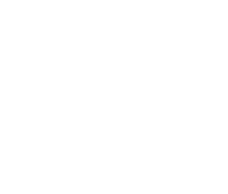 Portable