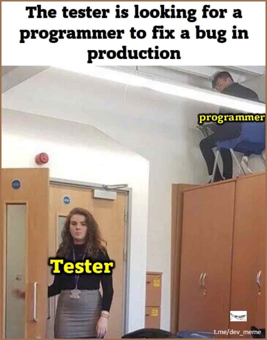 QA meme: Tester on the hunt for a fixer