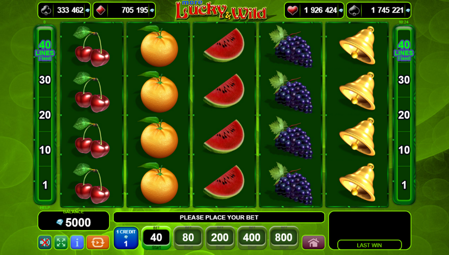 logo More Lucky & Wild