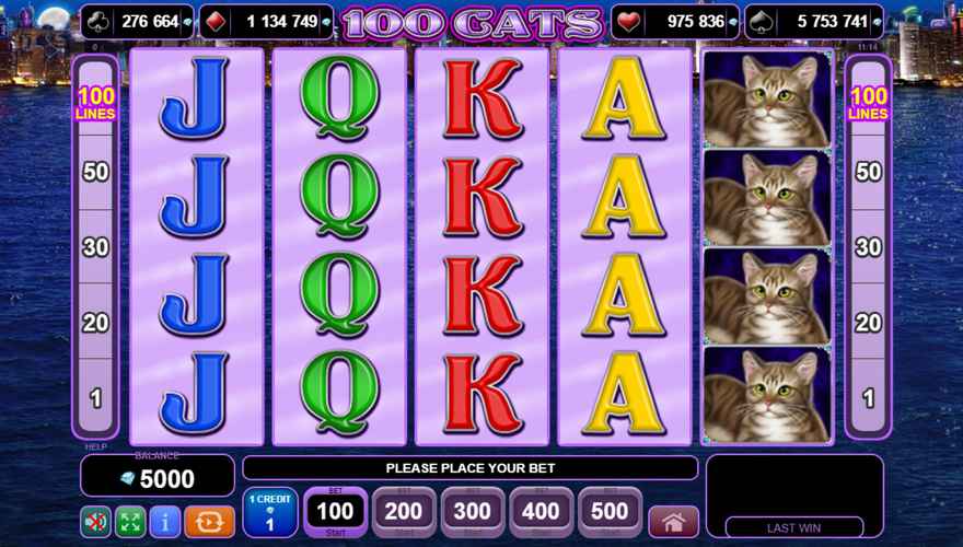 logo 100 Cats