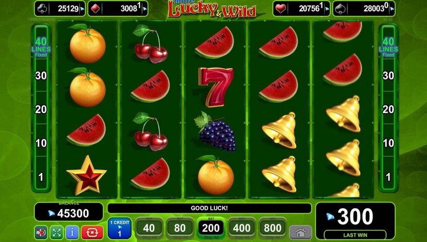 logo Lucky & Wild