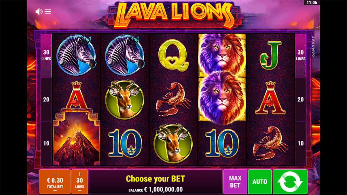 image de présentation lava lions
