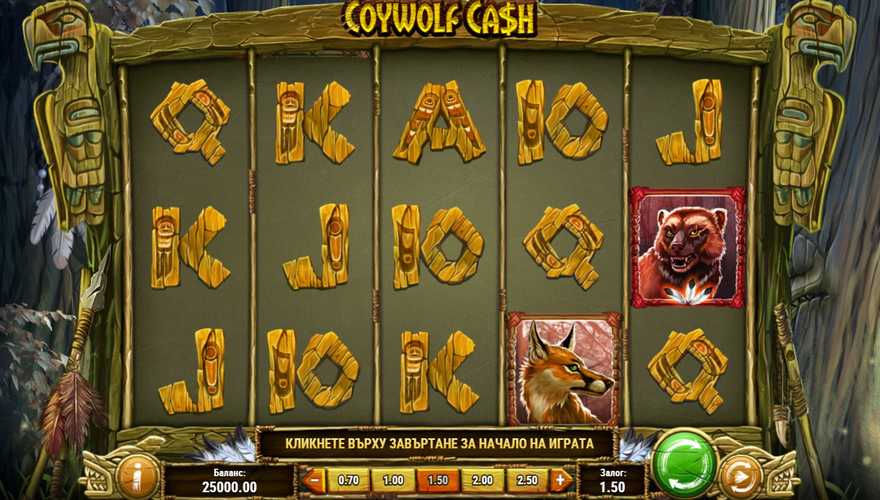 logo Coywolf Cash