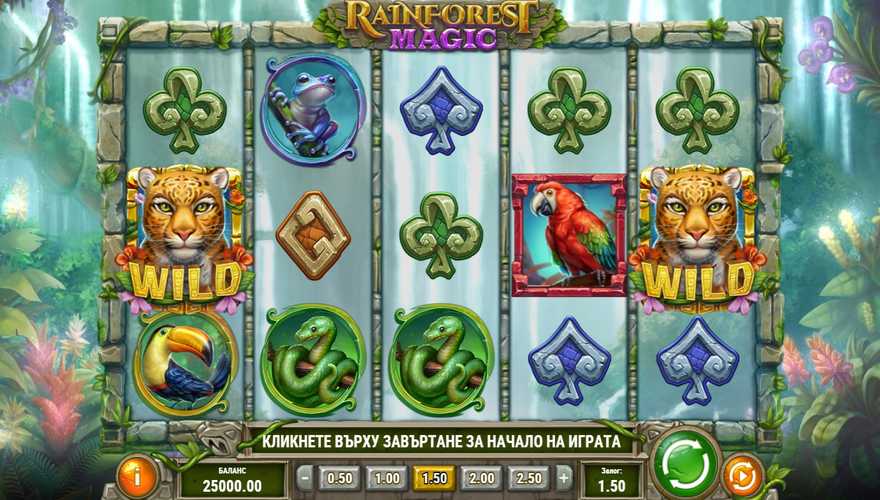 logo Rainforest Magic